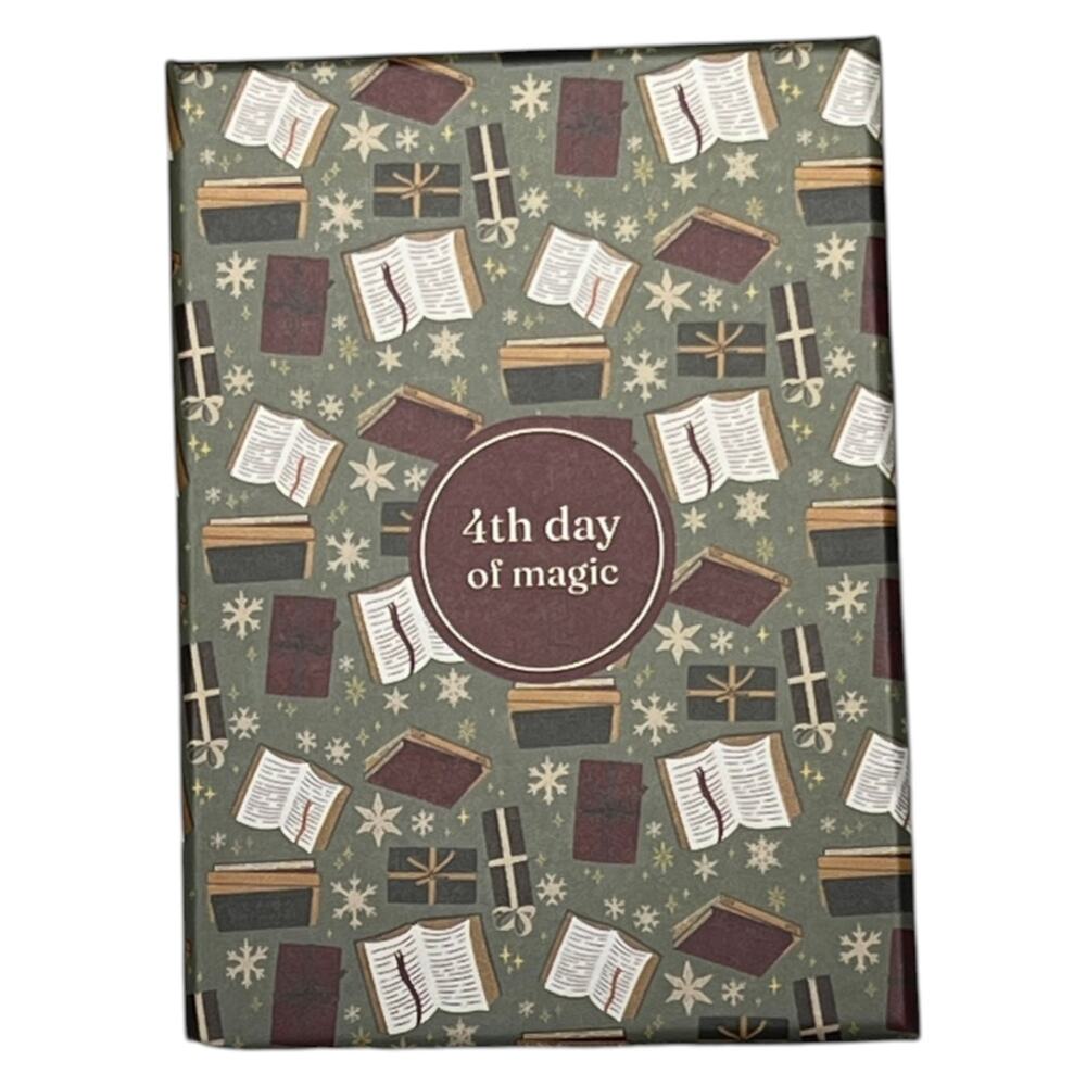 OwlCrate Day 4 The Bookish Advent Calendar - Emily Wilde's Pin Set Cottage-Core